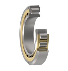 Single Row Cylindrical Roller Bearing